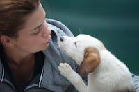 Julie utilisant la carte Adopt'Animaux
